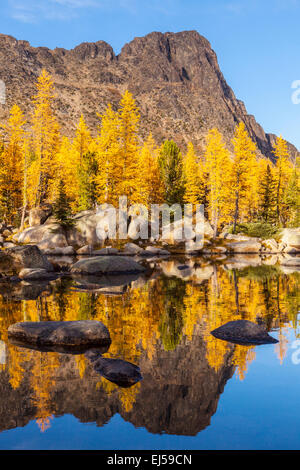 Cathedral Peak and larches reflected in Cathedral Lake, Pasayten Wilderness, North Cascades, Washington, USA. Stock Photo