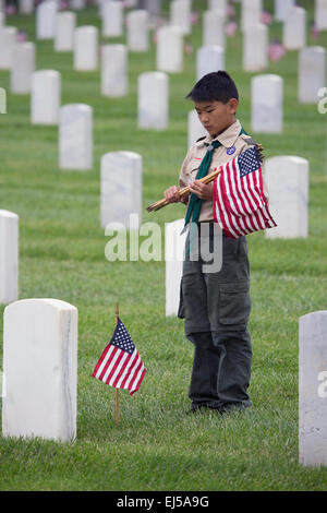 Boyscout places one of 85, 000 US Flags at 2014 Memorial Day Event, Los Angeles National Cemetery, California, USA Stock Photo