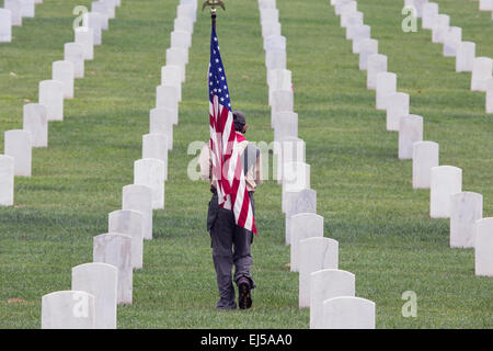 Boyscout places one of 85, 000 US Flags at 2014 Memorial Day Event, Los Angeles National Cemetery, California, USA Stock Photo