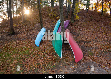 Colourful canoes resting on a leave covered hill with the late day sun shining through the trees during autumn. Ontario, Canada. Stock Photo