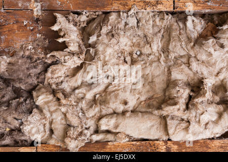 A close look at insulation in an old house stuffed between wooden beams. Stock Photo