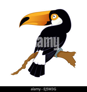 Vector image of a cartoon smiling Toucan Stock Photo