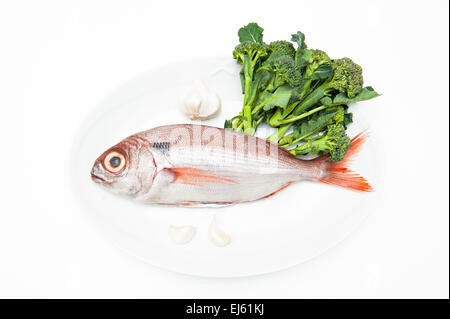 Pezzogna fish, variety of sea bream, on white plate with garlic and broccoli, white background Stock Photo