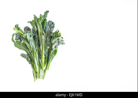 Bunch of green kale on white background, with empty copyspace on the right