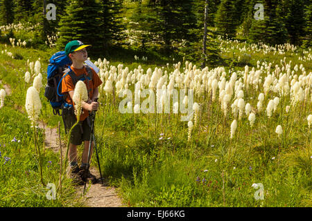 A young backpacker enjoys fields of bear grass along the Kautz Creek trail in Mount Rainier National Park, Washington, USA. Stock Photo