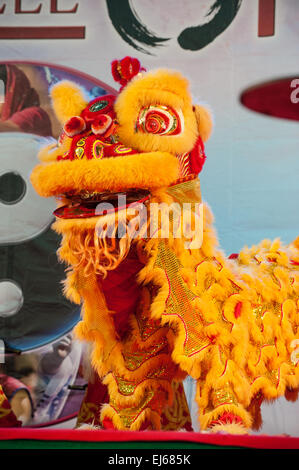 Turin, Italy. 22nd March, 2015. Lingotto fair 'Festival dell'Oriente' from 20th to 22th March 2015 and from 27th to 30th March 2015 - 20th March 2015 Lion Dance South - Italy lion Dragon Dance Credit:  Realy Easy Star/Alamy Live News Stock Photo