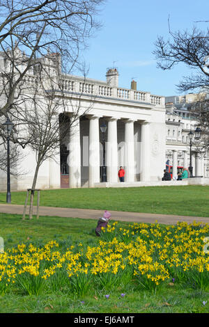 Child amongst daffodils in Green Park London with Royal Air Force Bomber Command memorial beyond Green Park London England UK Stock Photo