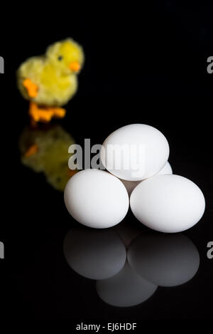 chicken eggs on black background Stock Photo - Alamy