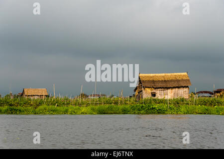 Floating farm and cottage on Inle Lake, Shan State, Myanmar Stock Photo
