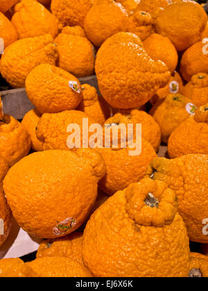 https://l450v.alamy.com/450v/ej6x6k/sumo-oranges-on-display-in-the-store-ej6x6k.jpg