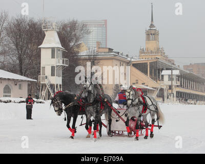 Russian Troika driving competitions in Moscow Stock Photo