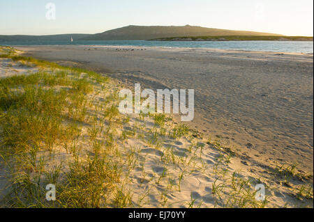 Beach, Langebaan, South Africa Stock Photo