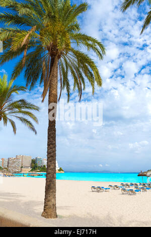 Mallorca Magaluf Magalluf beach in Calvia Mallorca at Balearic islands of Spain Stock Photo