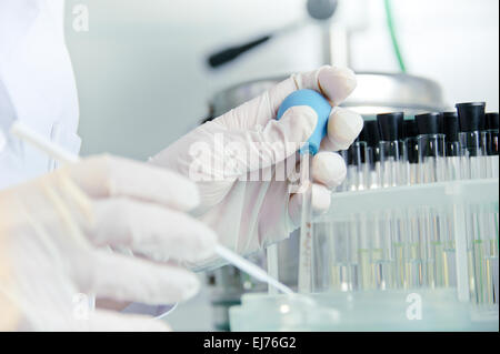 Scientific research. Stock Photo