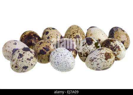 Eggs of quail on white background Stock Photo