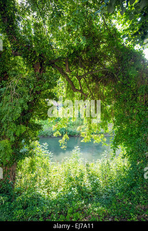 View on the Aar river through green vegetation, Strasbourg Alsace France Europe Stock Photo