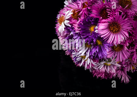 mixed bouquet chrysanthemum on black background Stock Photo