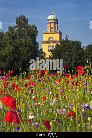 City Hall, Witten, Germany Stock Photo