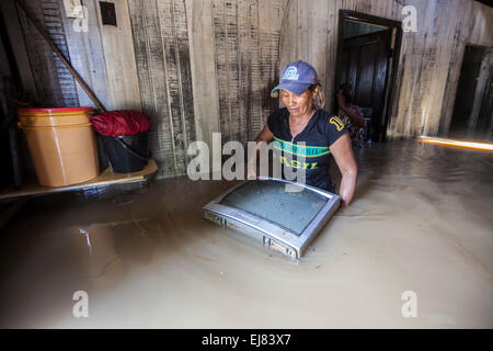2015 flooding in Brazilian Amazon, Ana Rosa da Silva, 45, finds a floating TV set at her parents´ flooded house  in Taquari district, Rio Branco city, Acre State. Floods have been affecting thousands of people in the state of Acre, northern Brazil, since 23 February 2015, when some of the state’s rivers, in particular the Acre river, overflowed. Further heavy rainfall has forced river levels higher still, and on 03 March 2015 Brazil’s federal government declared a state of emergency in Acre State, where current flood situation has been described as the worst in 132 years. Stock Photo