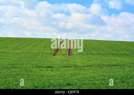 Tire track on a field Stock Photo