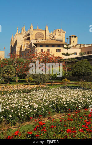Cathedral of Palma de Mallorca Spain Stock Photo