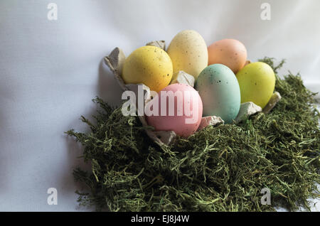 Six pastel colored Easter eggs nestled in egg carton surrounded by green moss. Stock Photo
