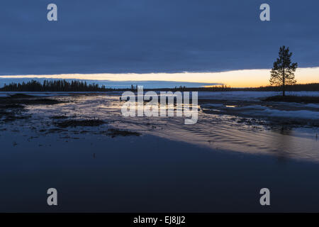 swamp landscape by night, Lapland, Sweden Stock Photo