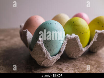 Six pastel colored Easter eggs in egg carton Stock Photo