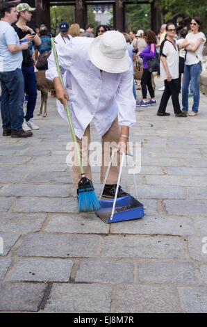 Cleaning personal picking up deer droppings in Nara Deer park, Nara, Japan Stock Photo