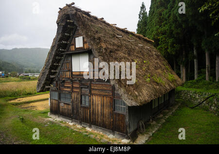 Gasshō-zukuri house in the UNESCO World Heritage village of Shirakawa-go in autumn, Gifu, Japan Stock Photo