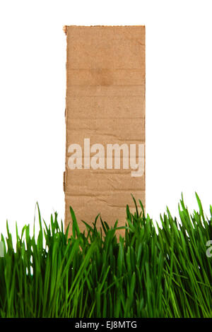 Cardboard in the Grass Stock Photo