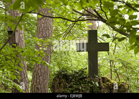 Cemetery in a Forest Stock Photo