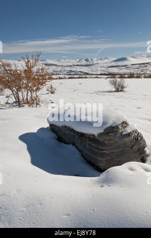 autumn landscape in snow, Rondane NP, Norway Stock Photo