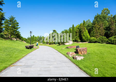 peaceful park in the morning Stock Photo