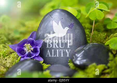 Black stone with the Word „Brutality“ Stock Photo