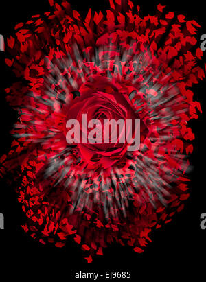 Exploding Heart. Isolated Stock Photo - Alamy