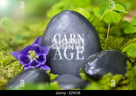 Black stone with the Word „Carnage“ Stock Photo