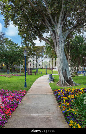 Flower beds in beautiful Victoria Park in Hamilton, Bermuda. Stock Photo