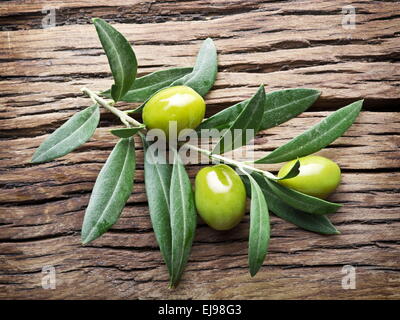 Olive twig on old wooden table. Stock Photo