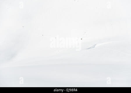 skiers on tour, Stuor Reaiddavaggi, Lapland Stock Photo