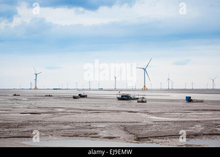 wind farm in mud flat Stock Photo