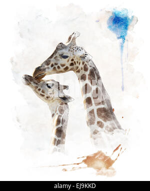 Watercolor Image Of Giraffes Stock Photo