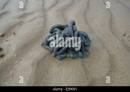 Dark sand thrown up in a worm cast created by a marine Hemichordata worm on a beach at low tide in Southern Thailand Stock Photo