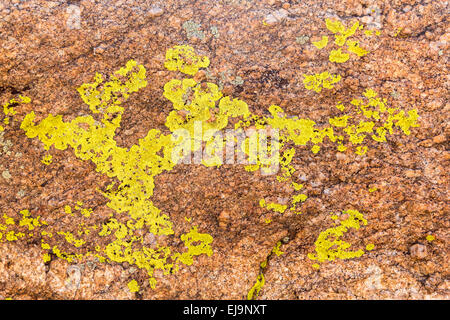 Close up of green lichen on granite rocks Stock Photo