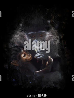 Watercolor Image Of Mother And Baby Monkey Stock Photo
