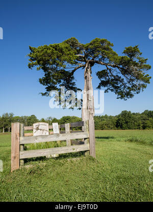 Appomattox County Courthouse National Park Stock Photo