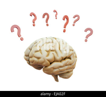 Human brain surrounded with question marks Stock Photo