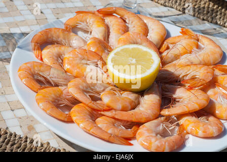 Plate of Prawns with Lemon juice on a round plate in the sunshine Stock Photo