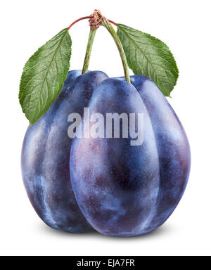 Two plums Stock Photo