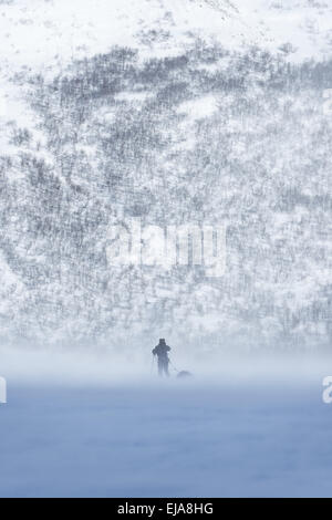 skier in snow drifting, Lapland, Sweden Stock Photo